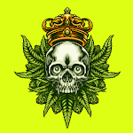 Cover Image of Download Weed Skull Wallpapers HD  APK