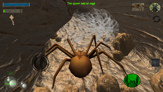 Spider Nest Simulator - insect Unknown