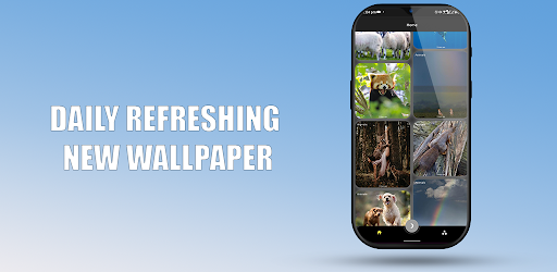 Android application Wallify - Wallpapers screenshort