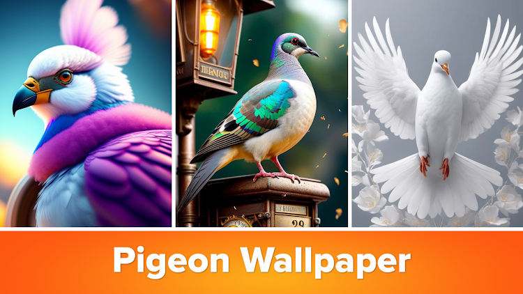 Pigeon Wallpaper - 5.1.3 - (Android)