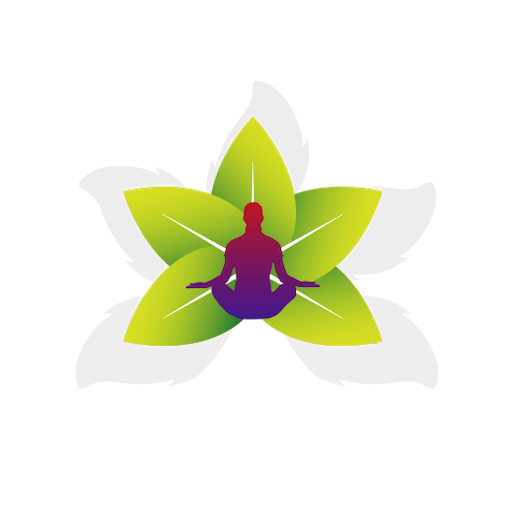 BAMS Studies logo