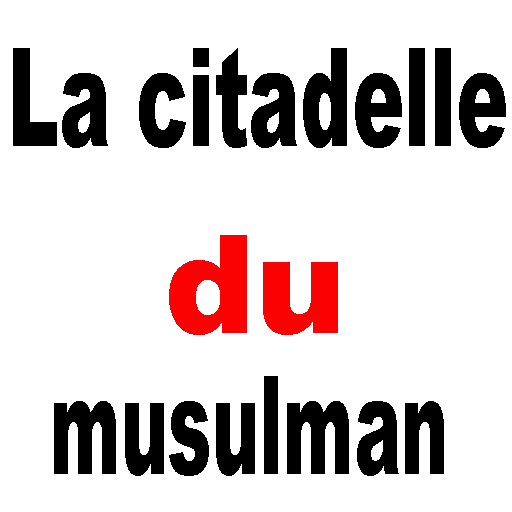 La citadelle du musulman  Icon