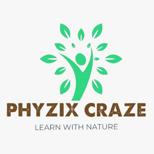 Phyzix Craze logo