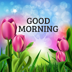 Good Morning Images App - Good Morning Messages Apk