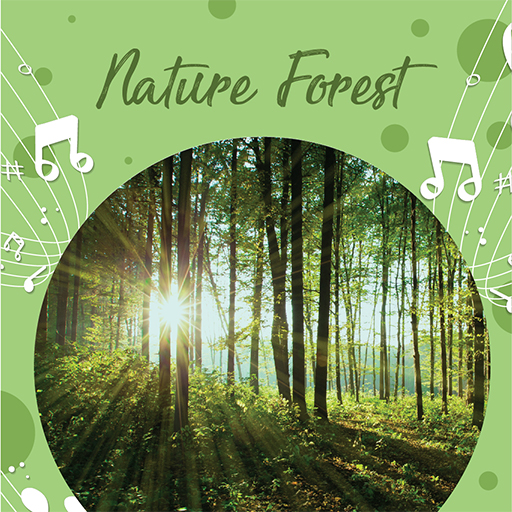 Nature Forest Sound For Relax logo