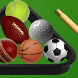 Sport on a Pool Table Rules icon