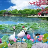 Lotus Pond 3D Live Wallpaper icon