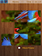 screenshot of Birds Jigsaw Puzzles Game