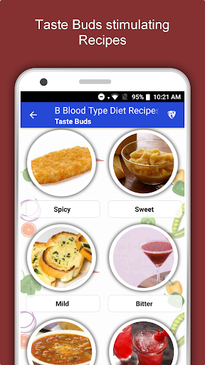 Screenshot of B Blood Type Recipes Diet Plan