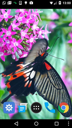 real butterfly wallpaper Screen 2