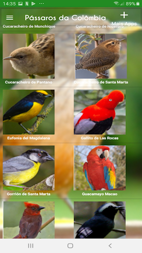 Cantos de Passaros da Colombia Screen 2