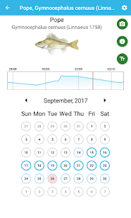 Fish Planet Calendar