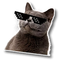 WAStickerApps Cat memes