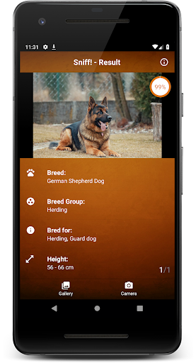 Sniff! - Dog Breed Identificat Screen 3