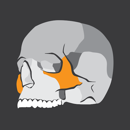 Skull Osteology logo