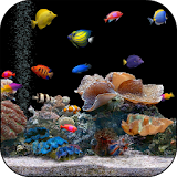 Tropical Aquarium Video LWP icon
