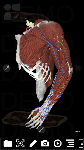 Android application 3Dissect Upper Limb screenshort