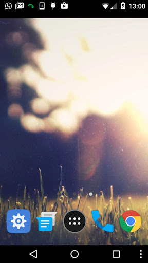 backyard wallpaper Screen 2