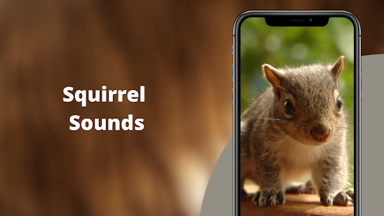 Squirrel Hunting Calls 3.5 APK screenshots 1