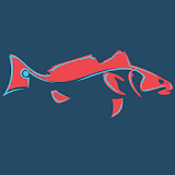 Florida Fishing Charters icon