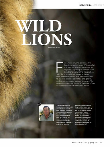 Kruger Magazine Screen 3