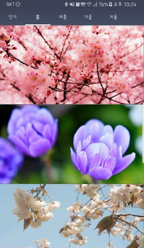 Android application Four seasons wallpapers FHD screenshort