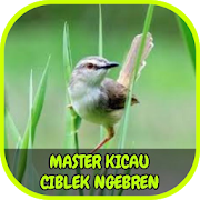 Top 39 Entertainment Apps Like Master Kicau Ciblek Ngebren Offline - Best Alternatives