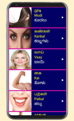 Learn Tamil From Kannada Screen 3
