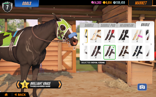 Rival Stars Horse Racing - Sports - games