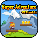 Super Adventure of Pumpkin icon