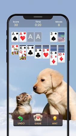 Game screenshot Solitaire - Classic Card Game apk download