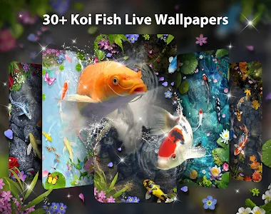 Koi Fish Live Wallpaper Themes APK - Download for Android 