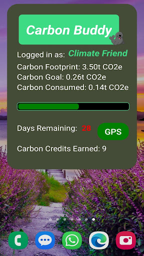 Carbon Buddy Screen 2