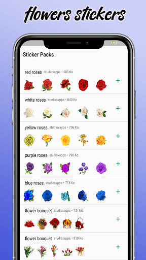 Vista previa de la aplicación