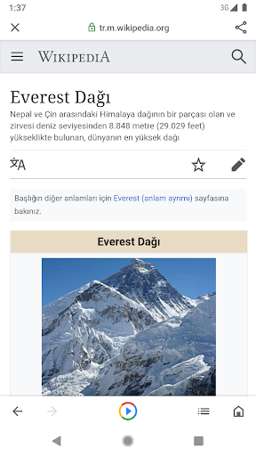 Google Go ekran görüntüsü