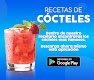 screenshot of Recetas de Cócteles y Tragos