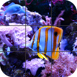 Icon image Fish Jigsaw Puzzle