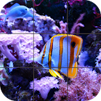 Fish Jigsaw Puzzle