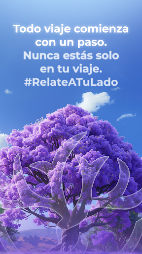 Vista previa de la aplicación