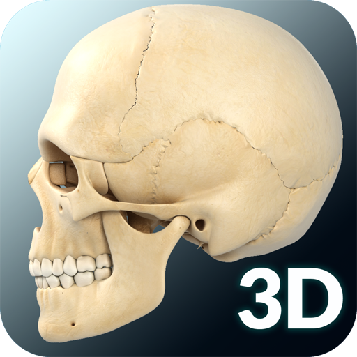 Skull Anatomy Pro.  Icon