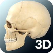 Top 24 Medical Apps Like Skull Anatomy Pro. - Best Alternatives
