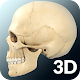 Skull Anatomy Pro. Windows에서 다운로드