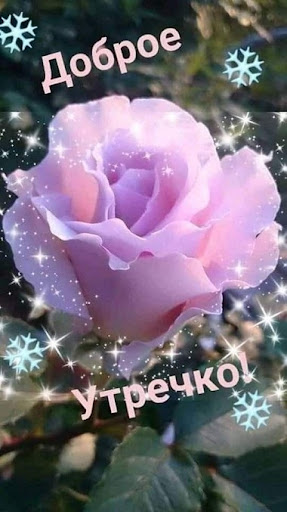 Доброе утро