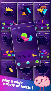 Block! Triangle Puzzle:Tangram 21.1208.09 screenshots 6