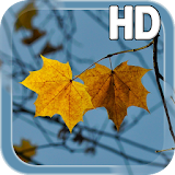 Autumn LWP icon