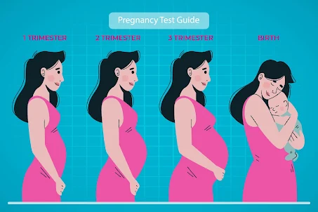 Pregnancy Journey -Guide