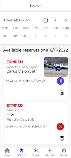 Open Flight Screen 2