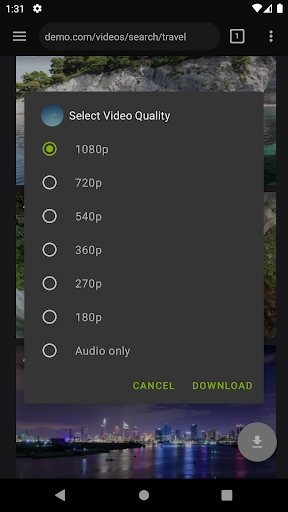Video Downloader Pro 3
