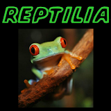 Reptilia icon