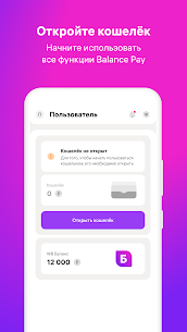 Balance Pay 1